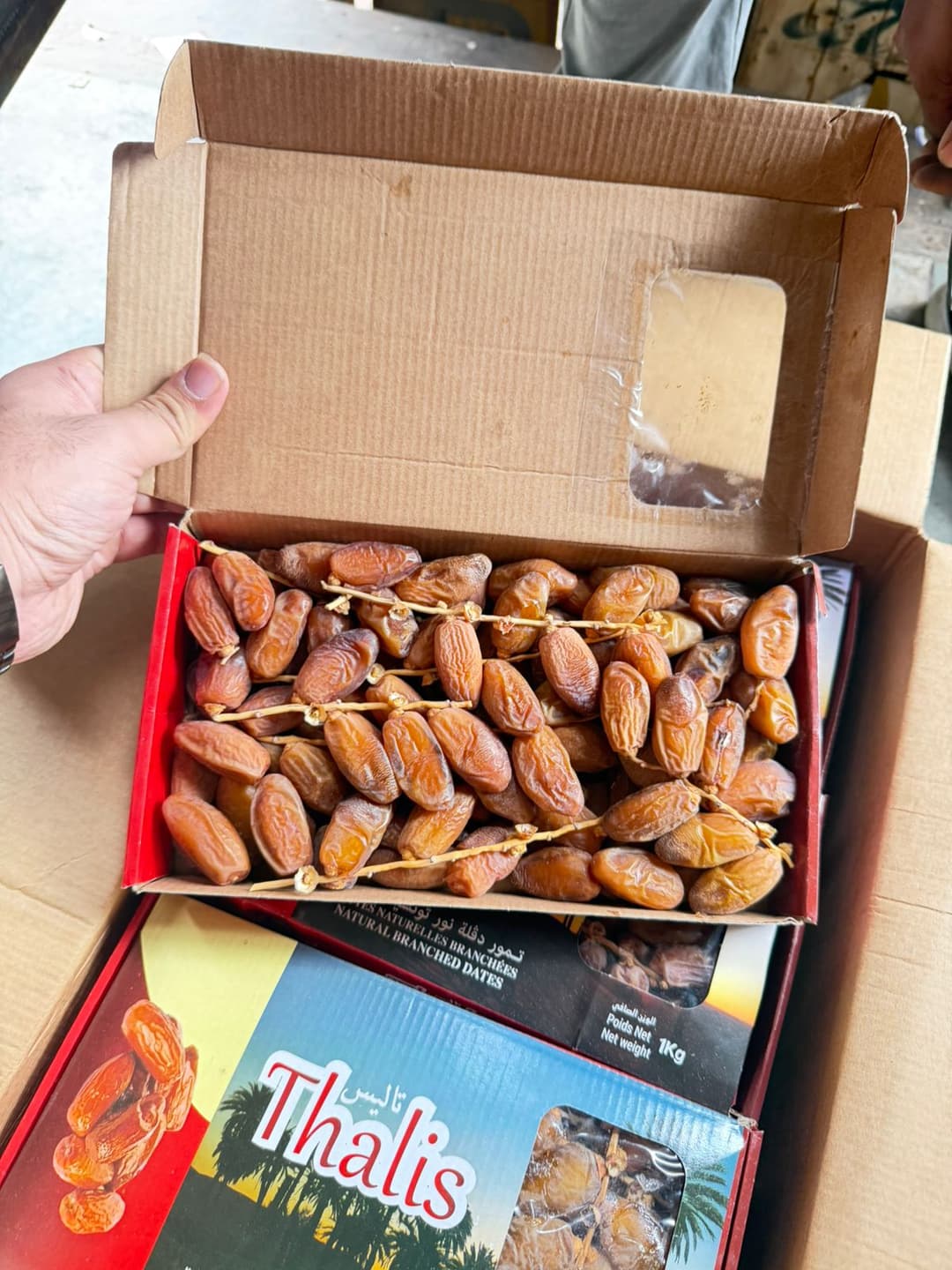 Thalis Gucci Dates 1kg Pack