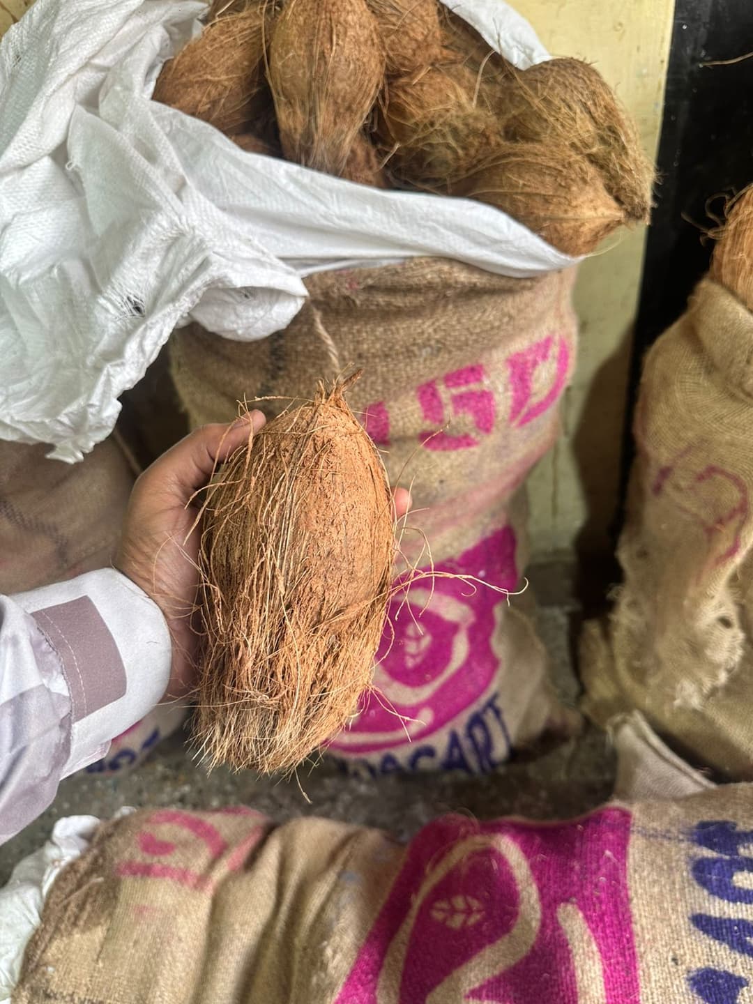 Coconut 150