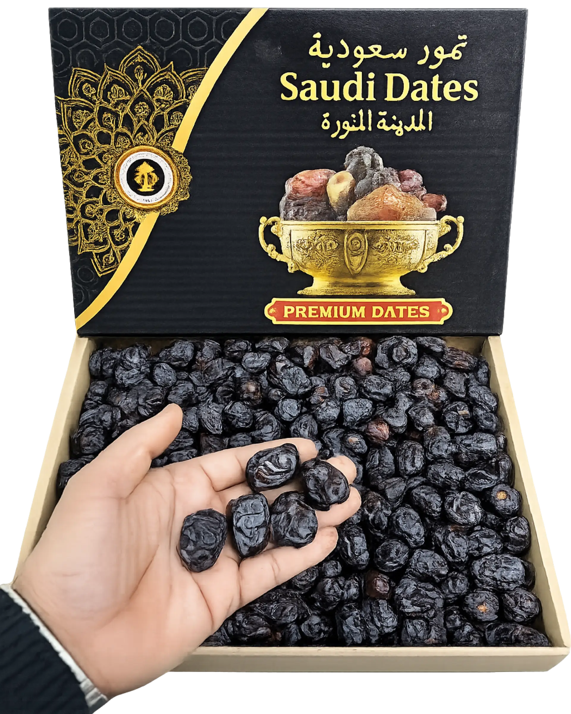 Deglet Noor and Zahidi Dates